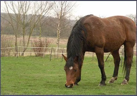 Manoir De La Chapelle Conde-sur-Sarthe